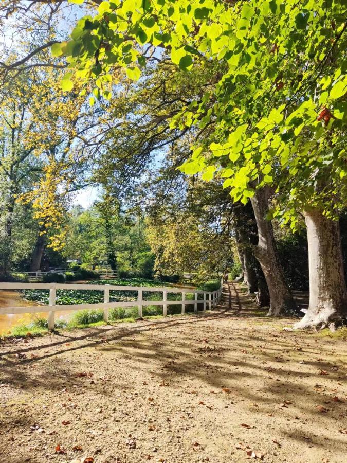 T1 Bis De 27M2 A Barbotan -Minimum 21 Nuits - Au Calme #Vacances#Cure-Lac Et Piscine A 1 Km, Cazaubon Exterior foto